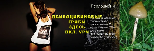 мескалин Армянск