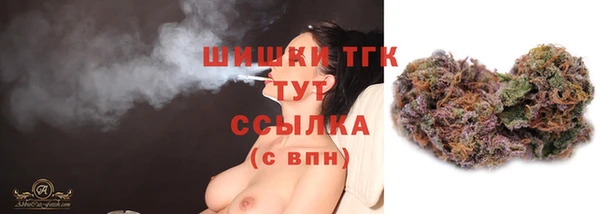 PSILOCYBIN Аркадак