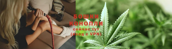 PSILOCYBIN Аркадак