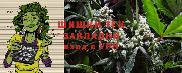 PSILOCYBIN Аркадак