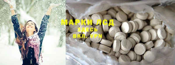 PSILOCYBIN Аркадак