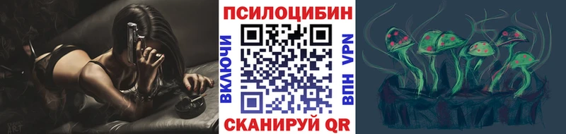 цены наркотик  Ступино  Псилоцибиновые грибы MAGIC MUSHROOMS 